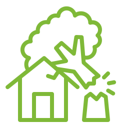 Fallen Trees & Branches icon